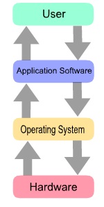 software type
